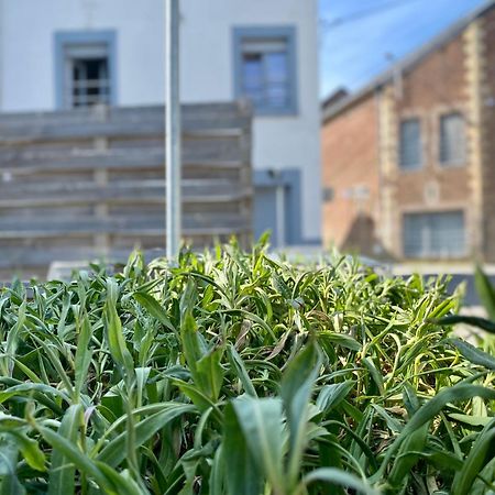 Les Gites Du Broukay - Alouette Bassenge Zewnętrze zdjęcie